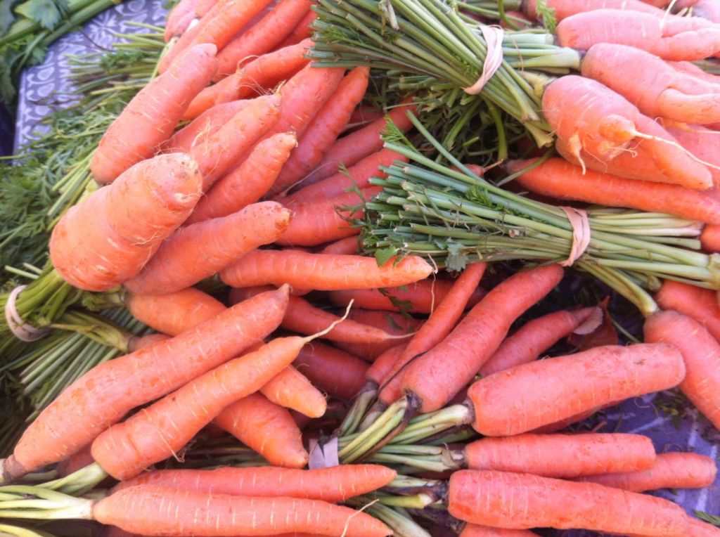 Carrots