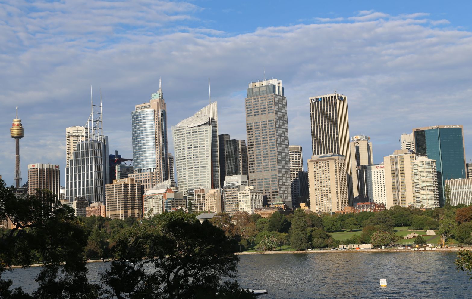 Petit World-City Center