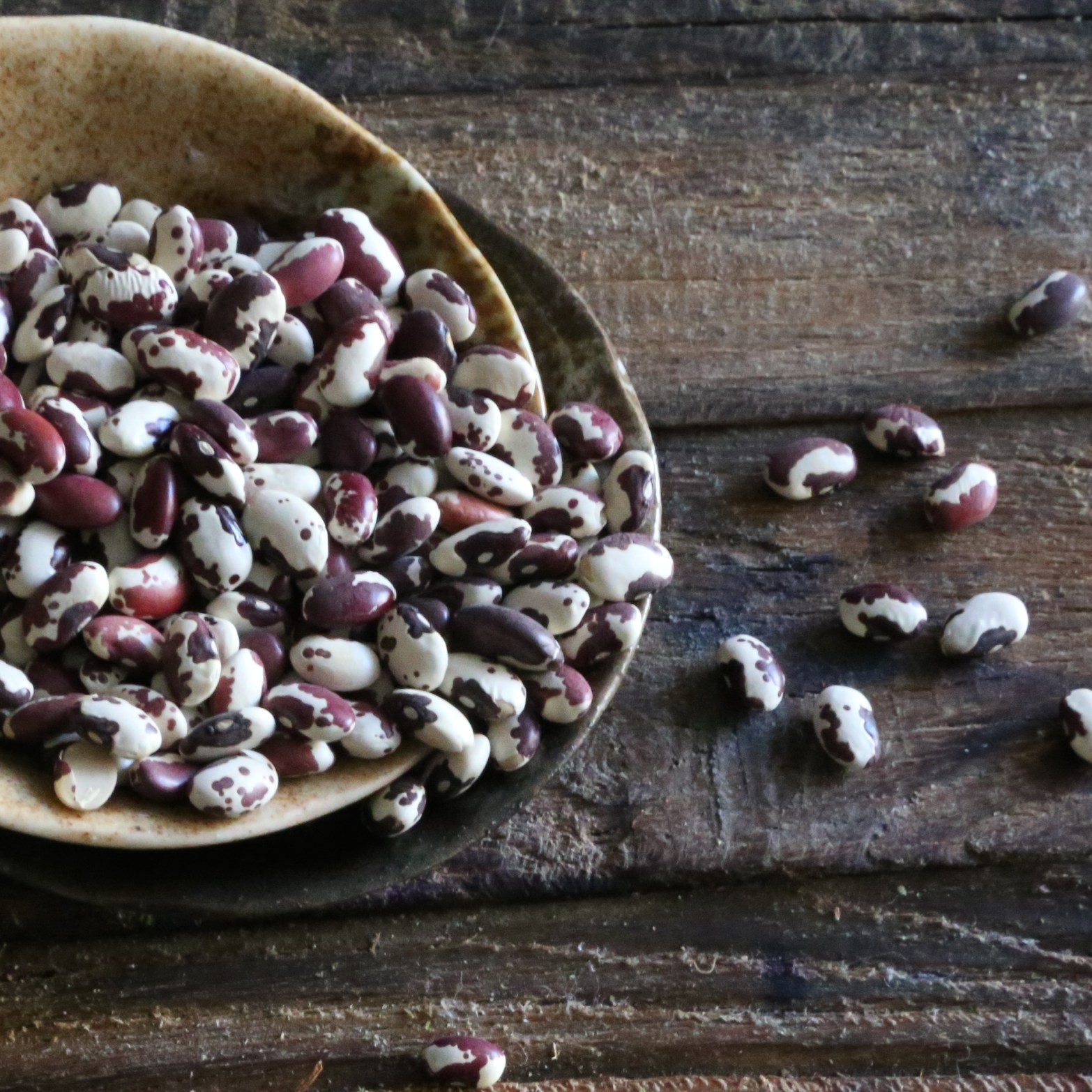Anasazi Beans